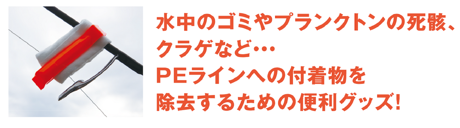 LCPM (4)