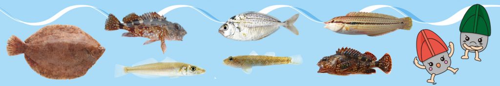 魚